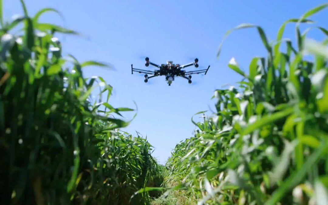 L’agriculture sénégalaise à l’ère du numérique : Défis et opportunités